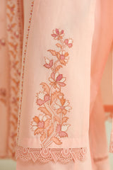 3 Piece -  Embroidered Suit - C6136