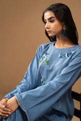 2 Piece -Embroidered Cotton Karandi Suit