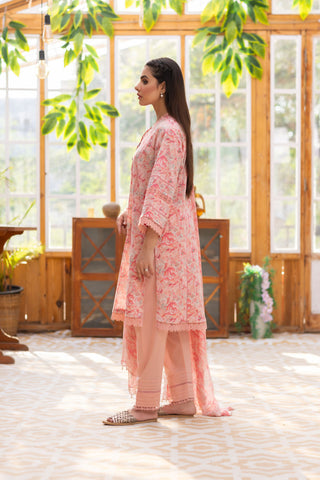 3 Piece Cotton Lawn Suit