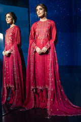 3 Piece -  Embroidered Suit - C6169