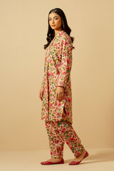 2 Piece - Printed Khaddar Suit