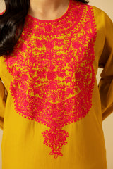 2 Piece - Embroidered Khaddar Suit