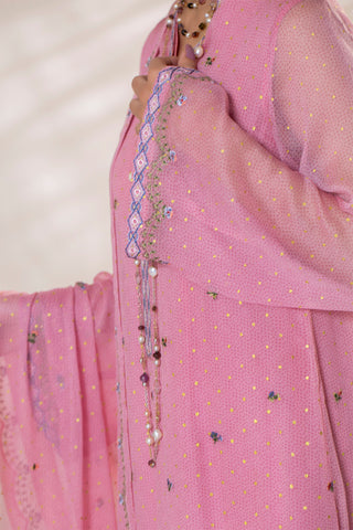 2 Piece Pure Chiffon Shirt & Dupatta