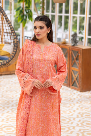 3 Piece Cotton Lawn Suit