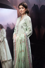 2 Piece - Printed Embroidered Suit - C6122