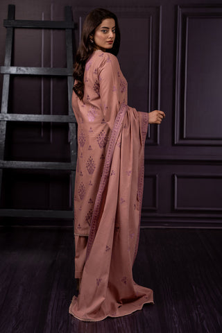 3 Piece Khaddar Suit