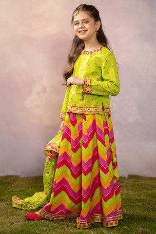 3 Piece  Cotton Lawn Suit