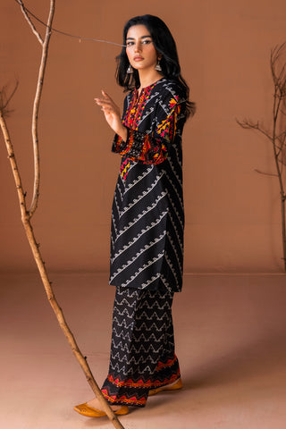 2 Piece Printed Khaddar Shirt & Trouser