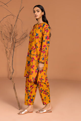 2 Piece Printed Khaddar Shirt & Trouser