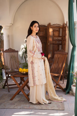 3 Piece Dyed & Embroidered Raw Silk Suit