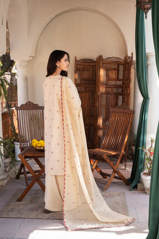 3 Piece Dyed & Embroidered Raw Silk Suit