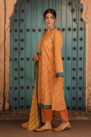 3 Piece Cotton Lawn Suit