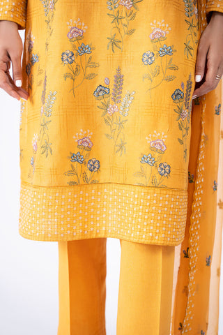 3 Piece Viscose Karandi Suit