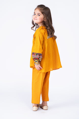 2 Piece Khaddar Shirt & Trouser