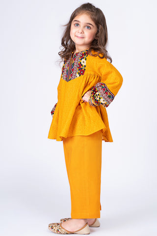 2 Piece Khaddar Shirt & Trouser