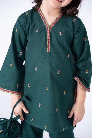 2 Piece Khaddar Shirt & Trouser